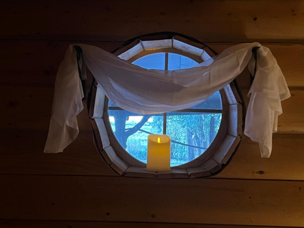 The Gratitude Homestay Alamosa Exterior photo